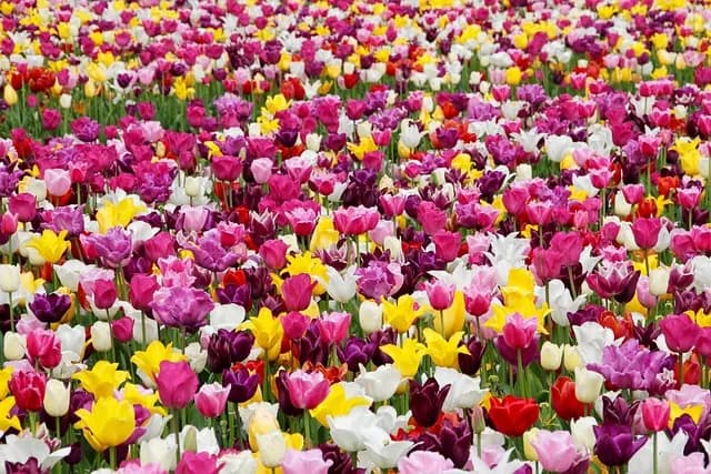Les Meilleurs Éclairages Extérieurs pour Votre Jardin
