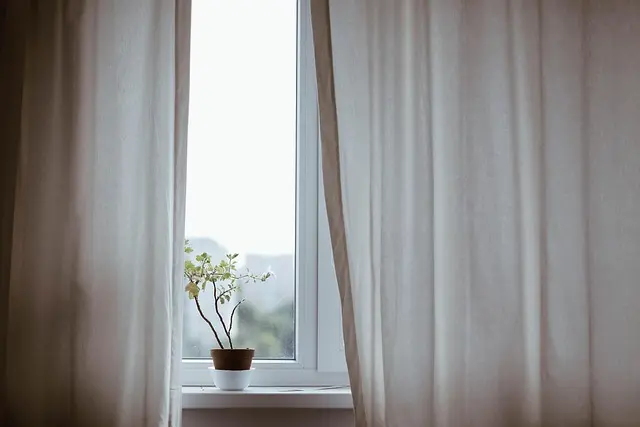 Le meilleur terreau pour plantes d'intérieur