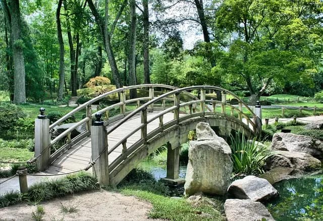 Guide d'achat des meilleures jardinières suspendues