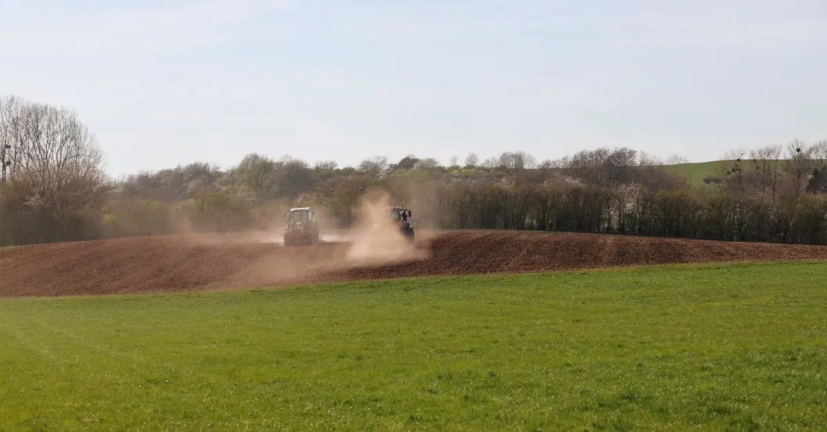 Fertilisants Naturels : Guide Complet d'Achat