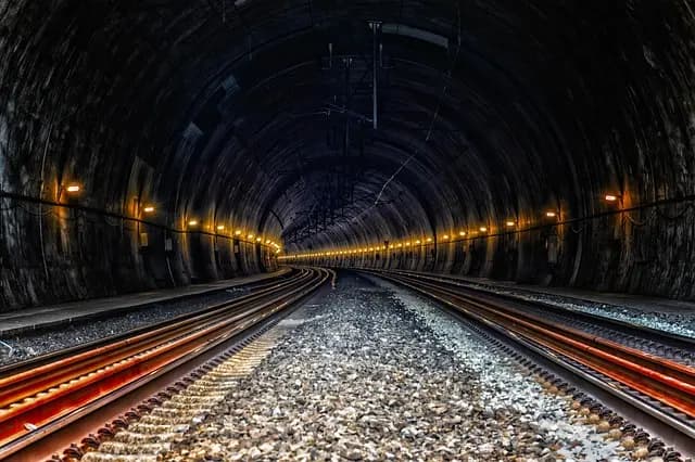 Guide d'achat des meilleures serres tunnel