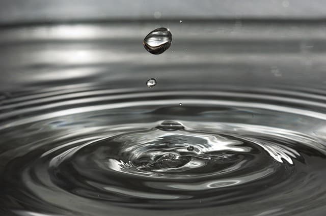 Guide d'achat : Système d'arrosage goutte à goutte